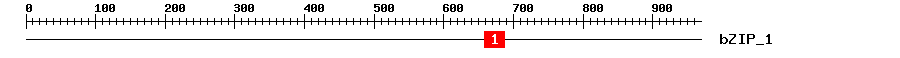 Signature Domain