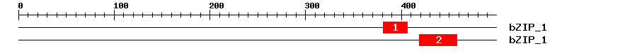 Signature Domain