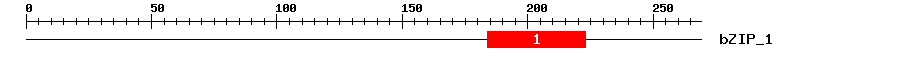 Signature Domain
