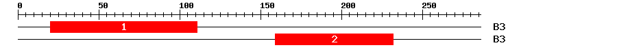 Signature Domain