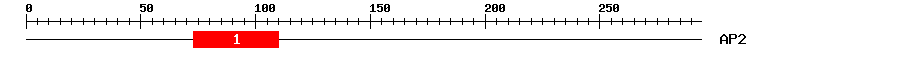 Signature Domain