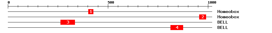 Signature Domain