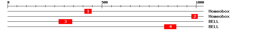 Signature Domain