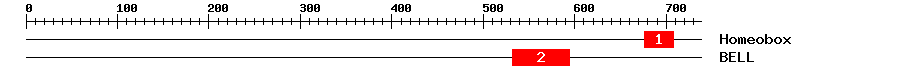 Signature Domain