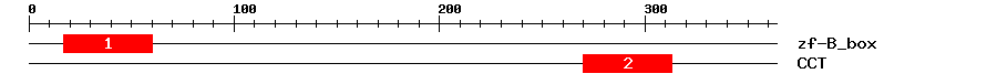 Signature Domain