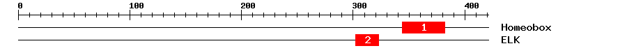 Signature Domain