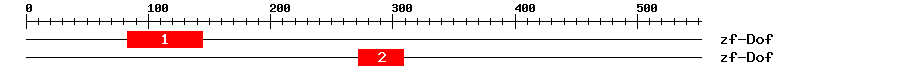 Signature Domain