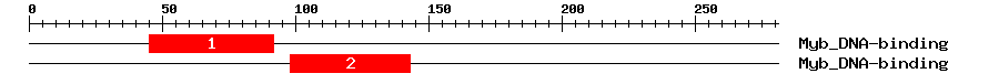 Signature Domain