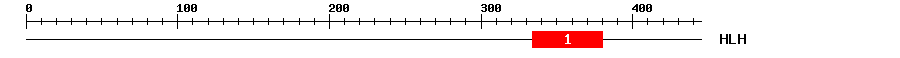 Signature Domain