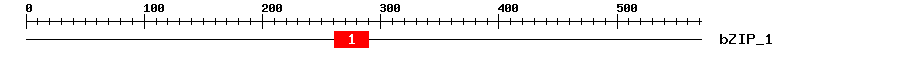 Signature Domain
