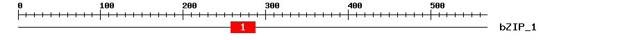 Signature Domain