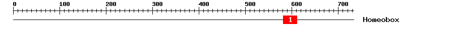 Signature Domain