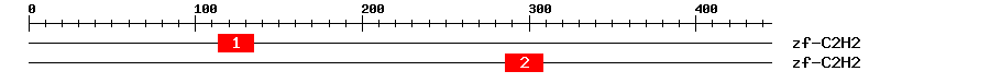 Signature Domain