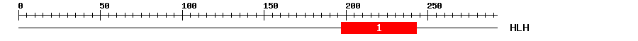 Signature Domain