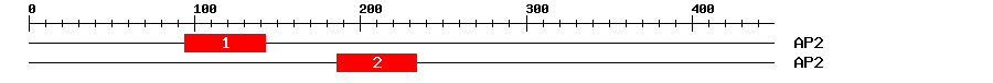 Signature Domain