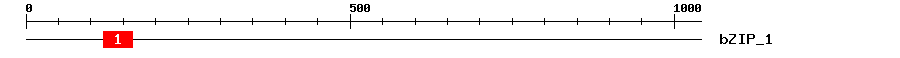 Signature Domain