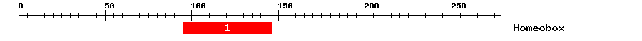 Signature Domain