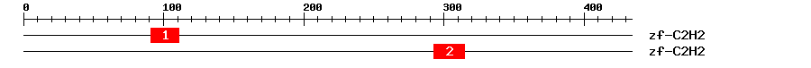 Signature Domain