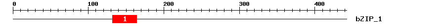 Signature Domain