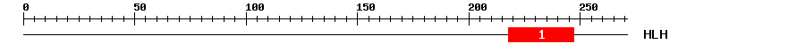 Signature Domain