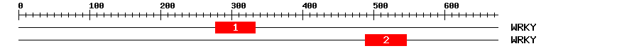 Signature Domain