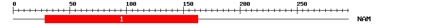 Signature Domain