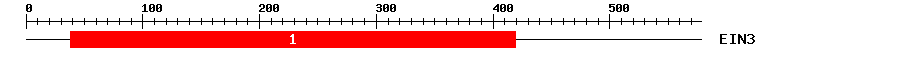 Signature Domain