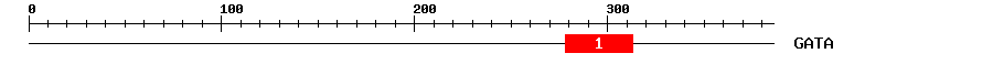 Signature Domain