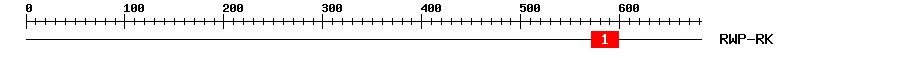 Signature Domain
