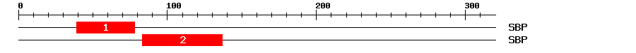 Signature Domain