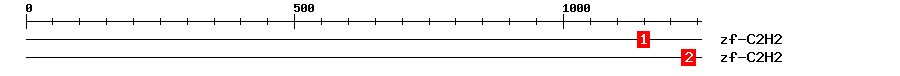 Signature Domain