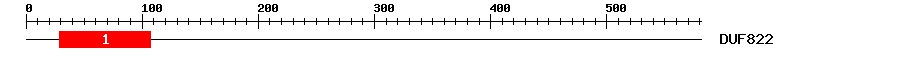 Signature Domain