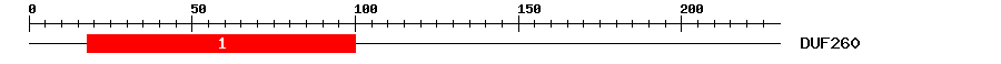Signature Domain