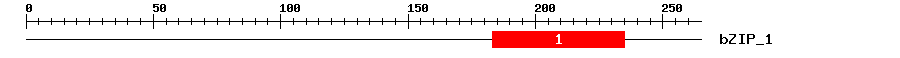 Signature Domain