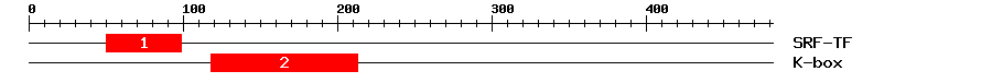 Signature Domain