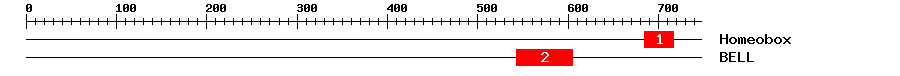 Signature Domain