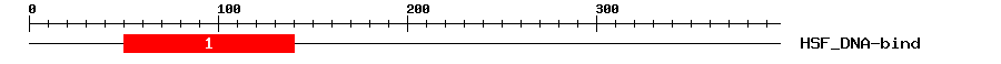Signature Domain