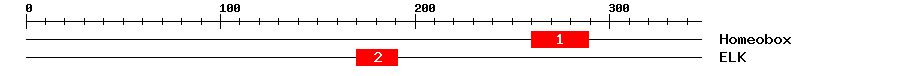Signature Domain