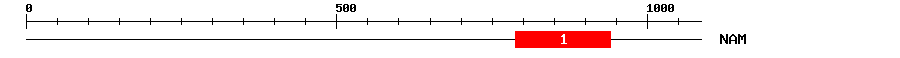 Signature Domain