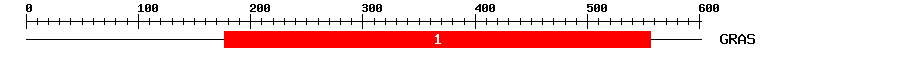 Signature Domain