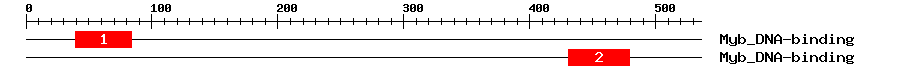 Signature Domain