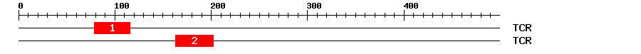 Signature Domain