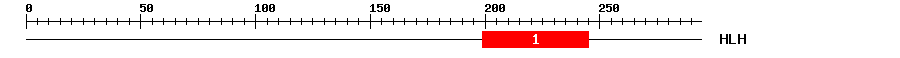 Signature Domain