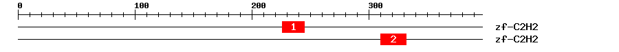 Signature Domain
