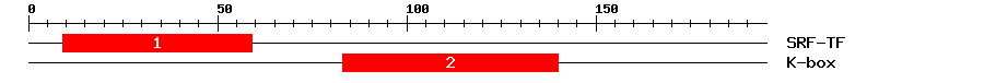 Signature Domain