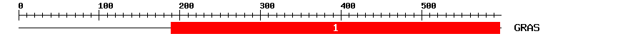 Signature Domain