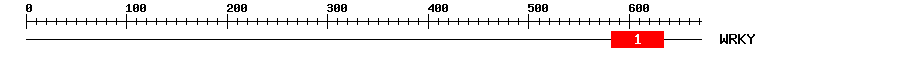 Signature Domain