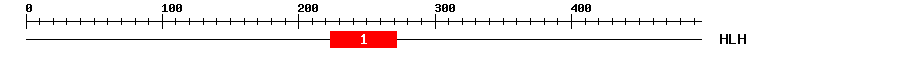 Signature Domain