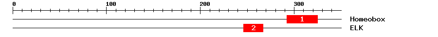 Signature Domain