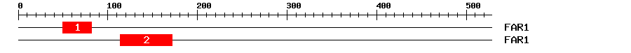 Signature Domain